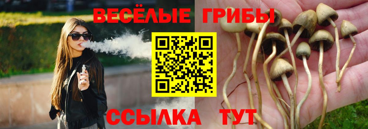 Тимашёвск  наркота  Вход с VPN  Псилоцибиновые грибы Cubensis 